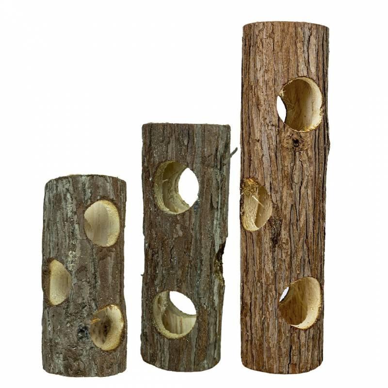 Back Zoo Nature - Back Zoo Nature