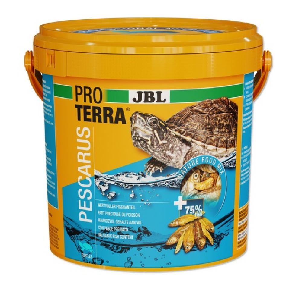 Schildpadvoer - Schildpadvoer