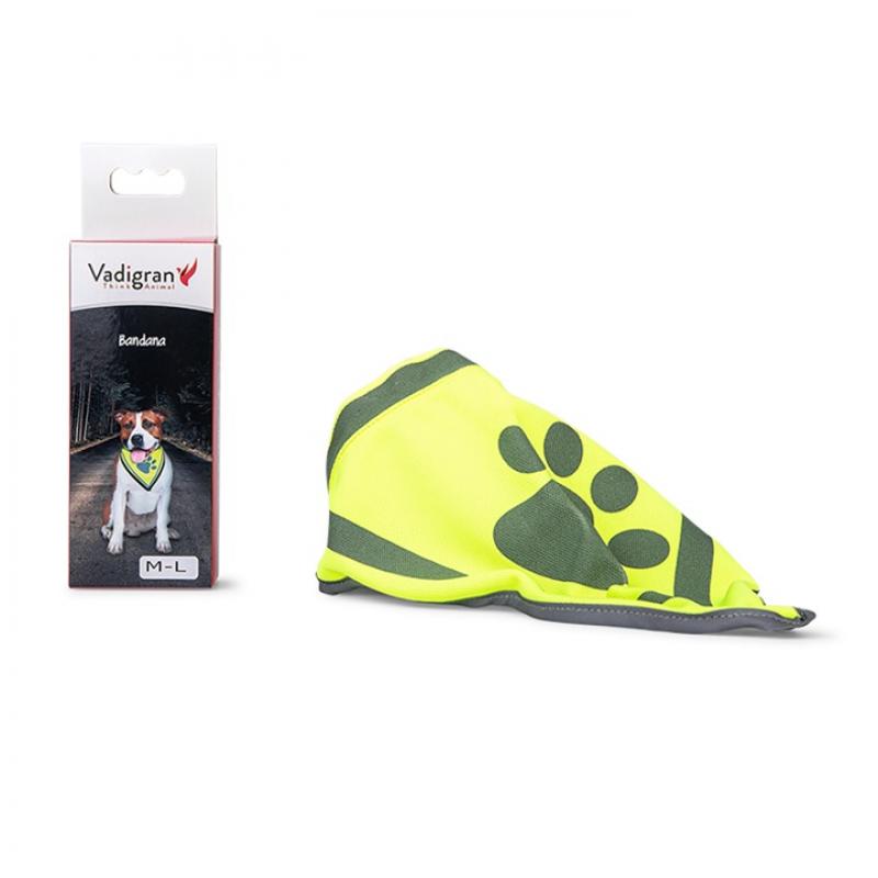 Veiligheid - Veiligheid