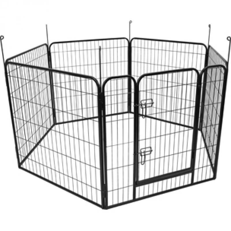 Kennel zecta - Kennel zecta