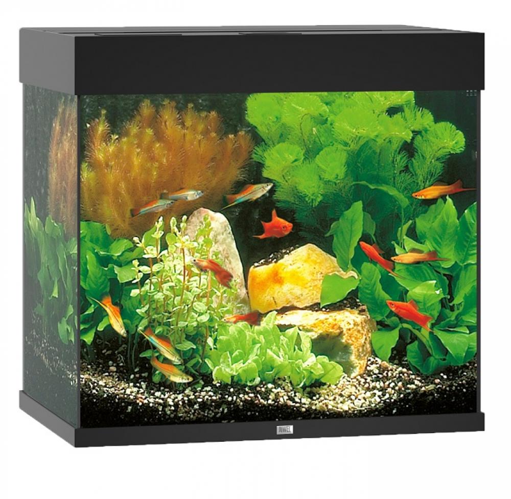 Aquarium Juwel - Aquarium Juwel