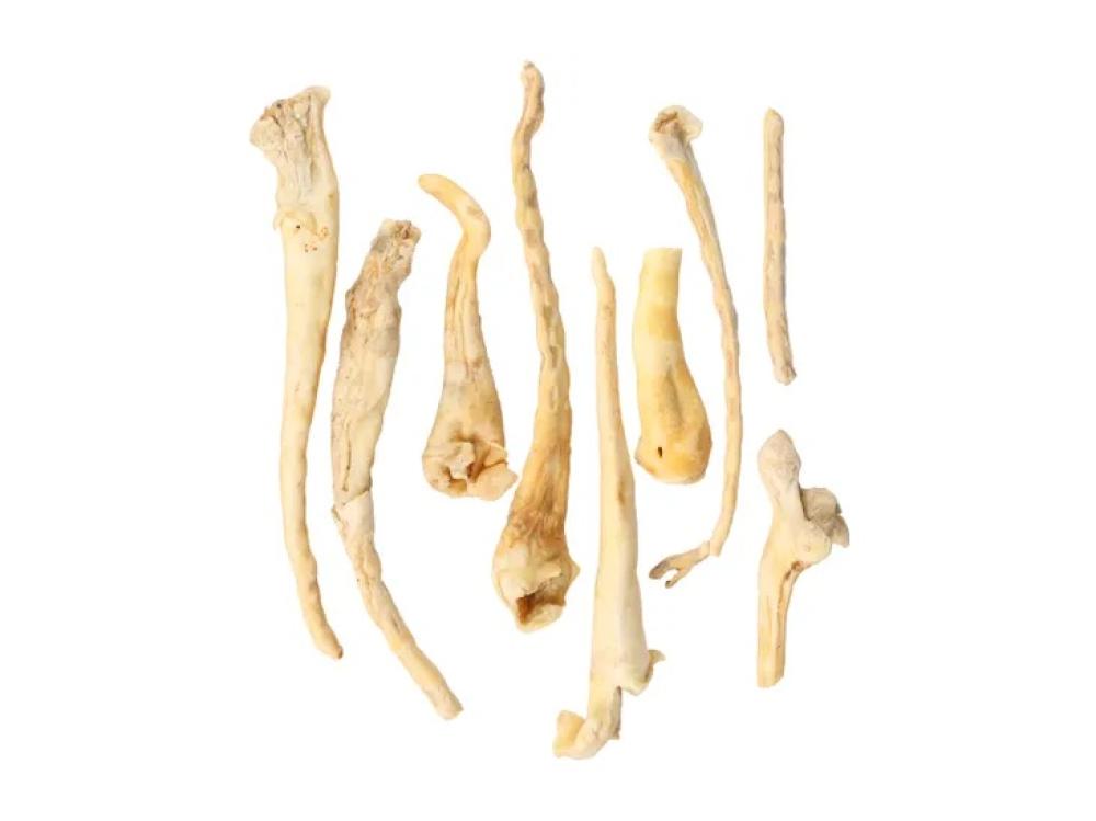 Nature snack - Nature snack