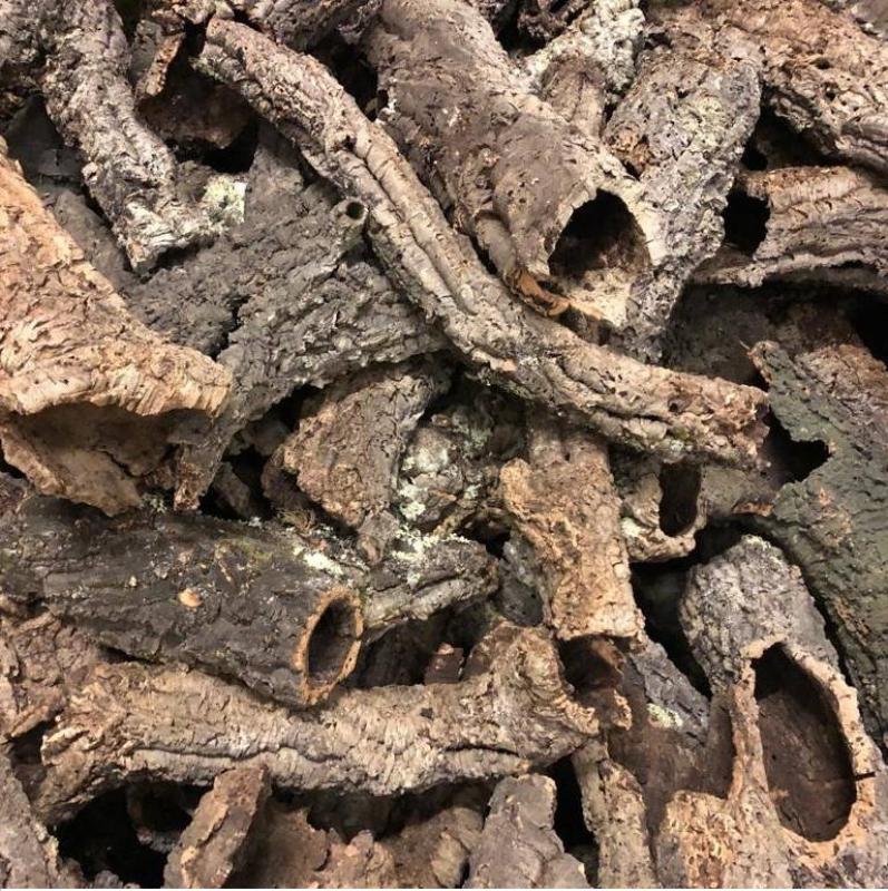 Kurkschors taken VDV - Kurkschors taken VDV