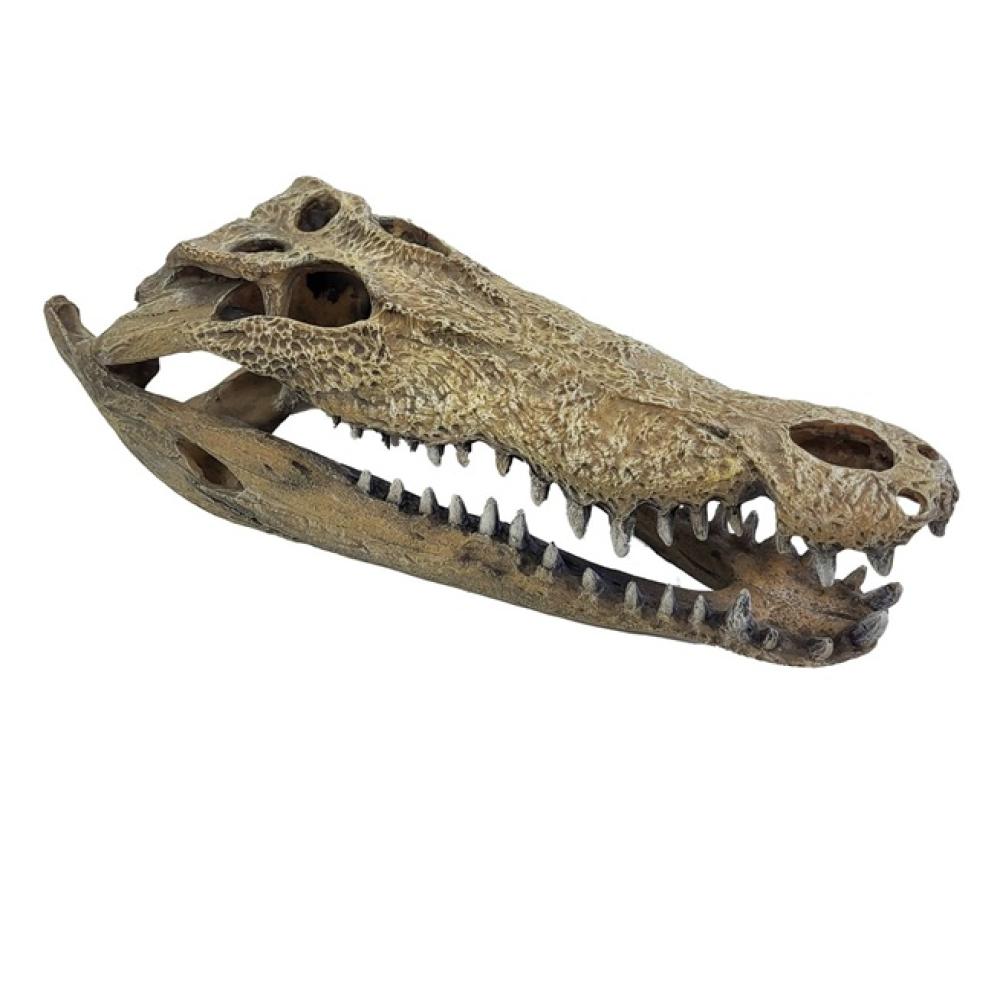 Deco Repto Deco - Deco Repto Deco