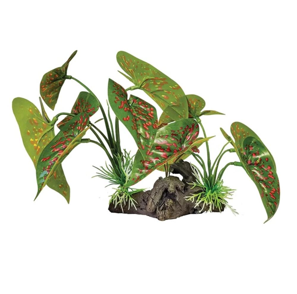 Repto plant - Repto plant