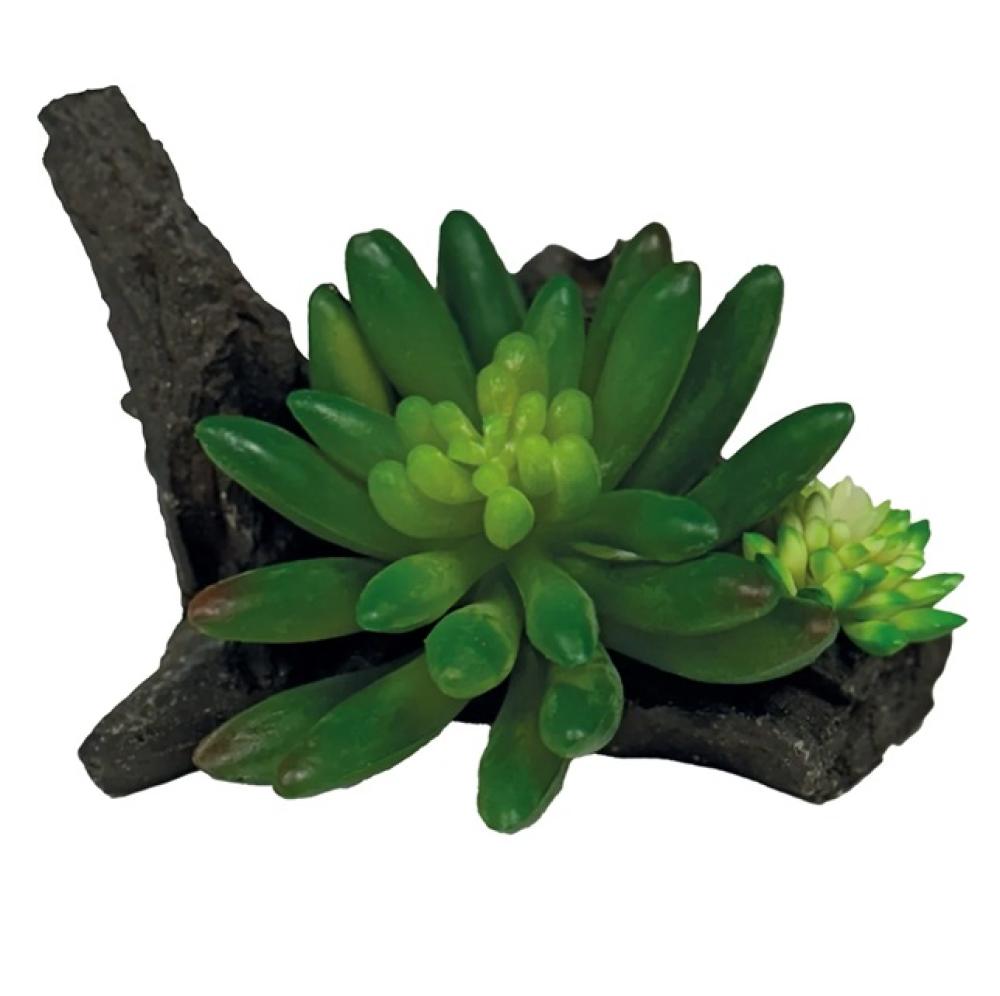 Repto plant - Repto plant