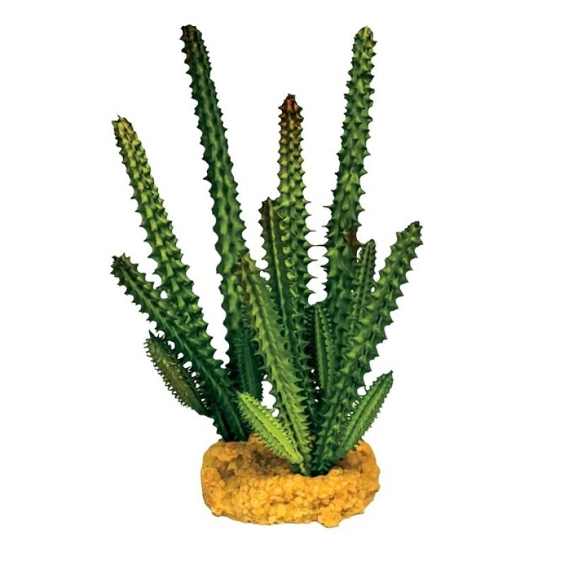 Repto plant - Repto plant