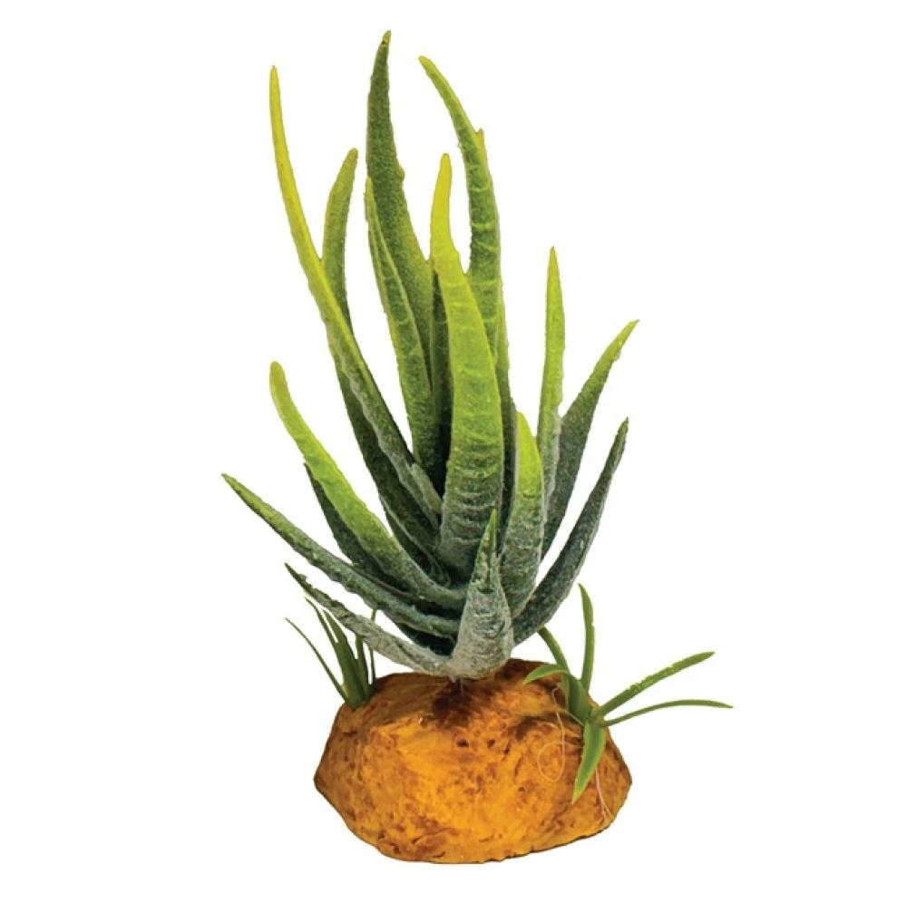 Repto plant - Repto plant