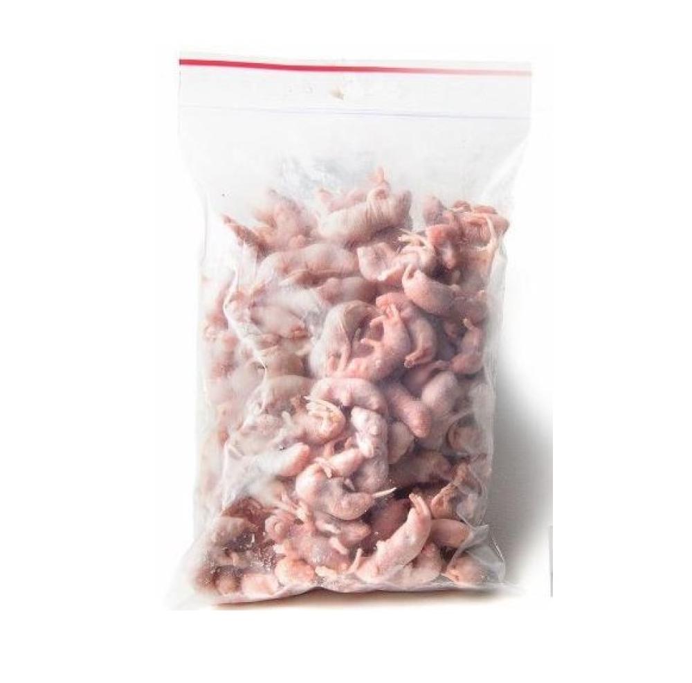 Diepvries muizen Kiezebrink - Diepvries muizen Kiezebrink