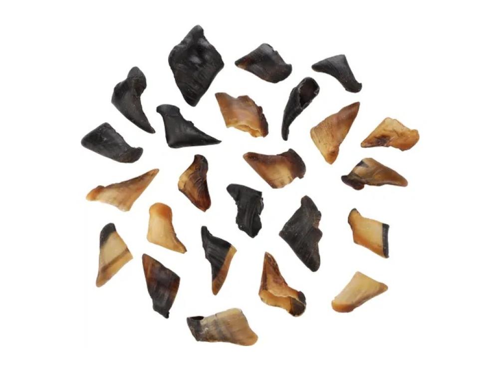 Nature snack - Nature snack