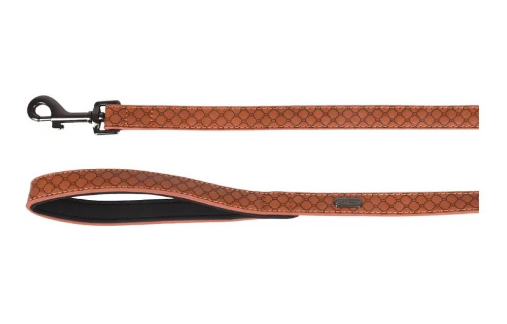 Patti bruin - Patti bruin