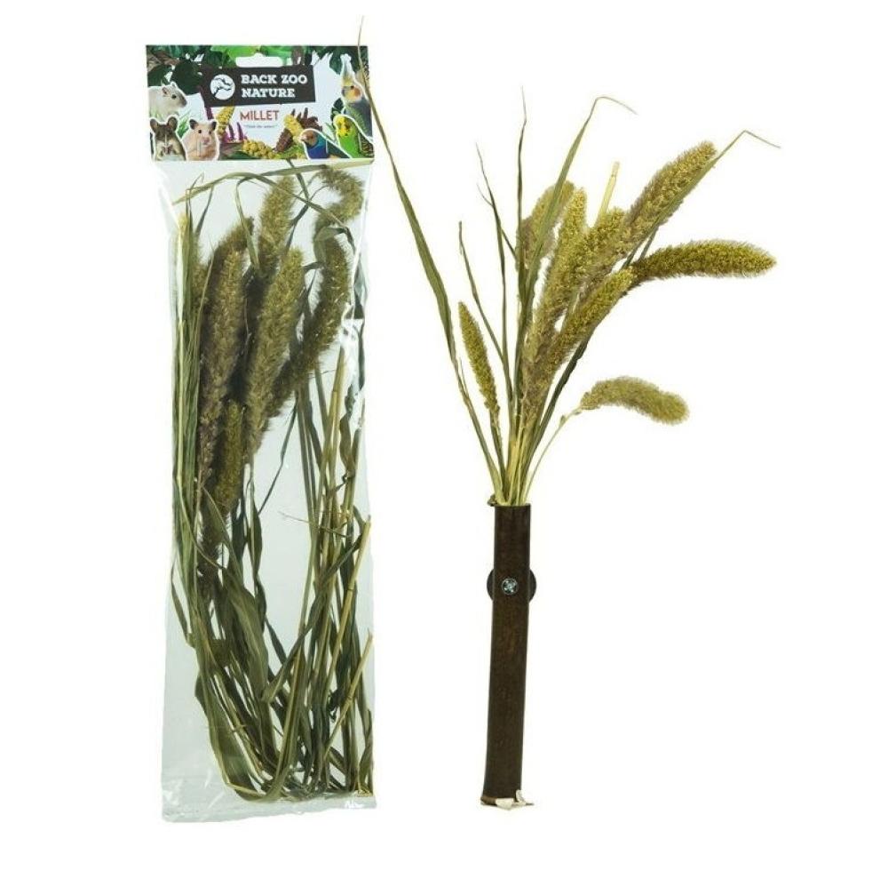 Trosgierst BZN - Trosgierst BZN