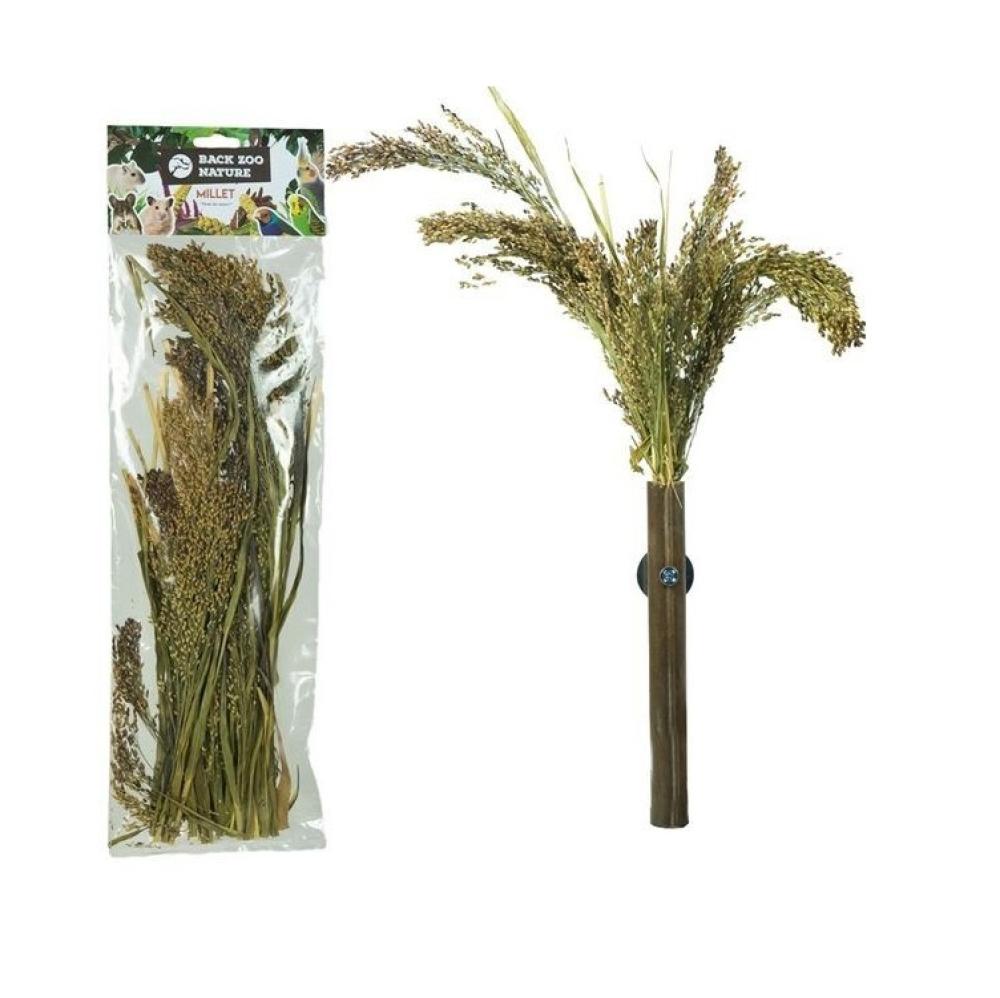 Trosgierst BZN - Trosgierst BZN