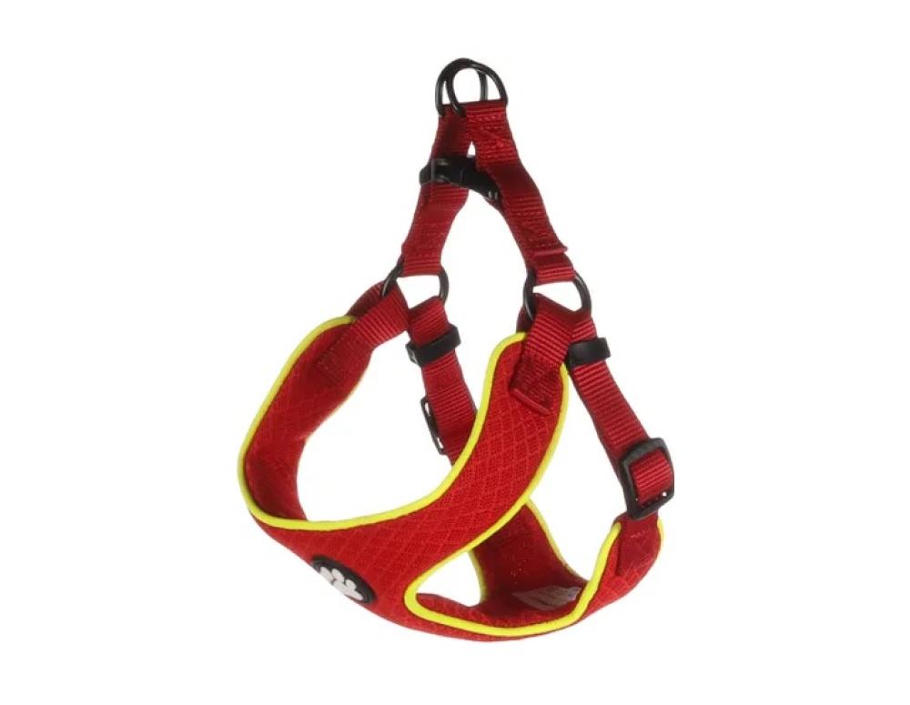 Tasha rood - Tasha rood