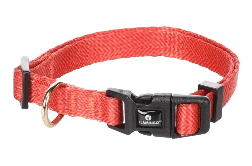 Noekie oranje - Noekie oranje