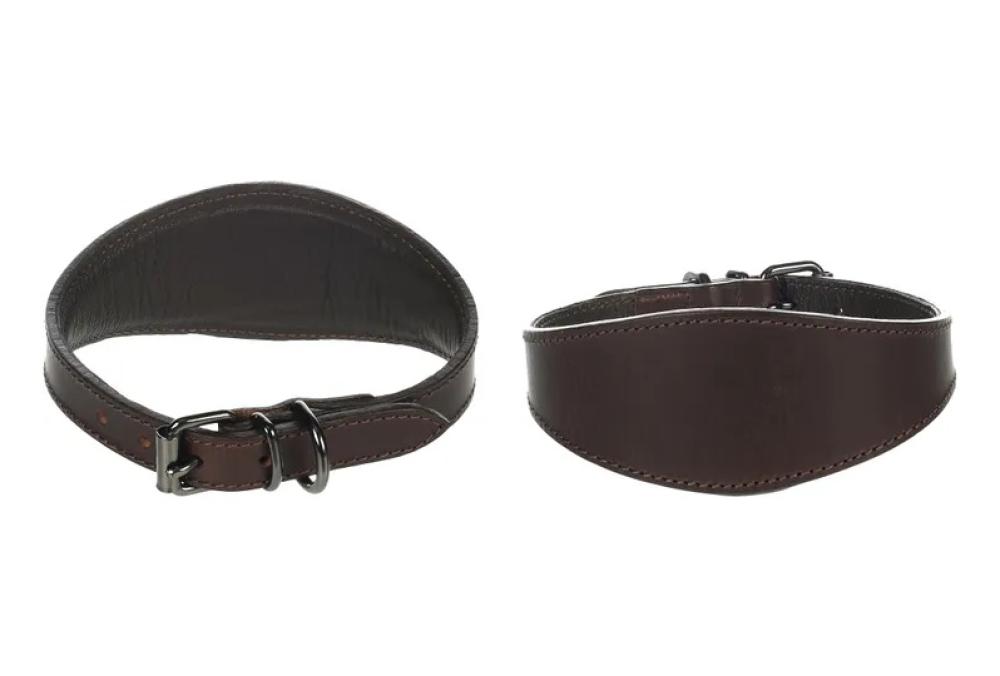 Denver Whippet bruin - Denver Whippet bruin