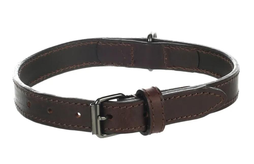 Denver bruin - Denver bruin