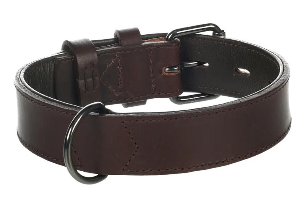 Denver breed bruin - Denver breed bruin