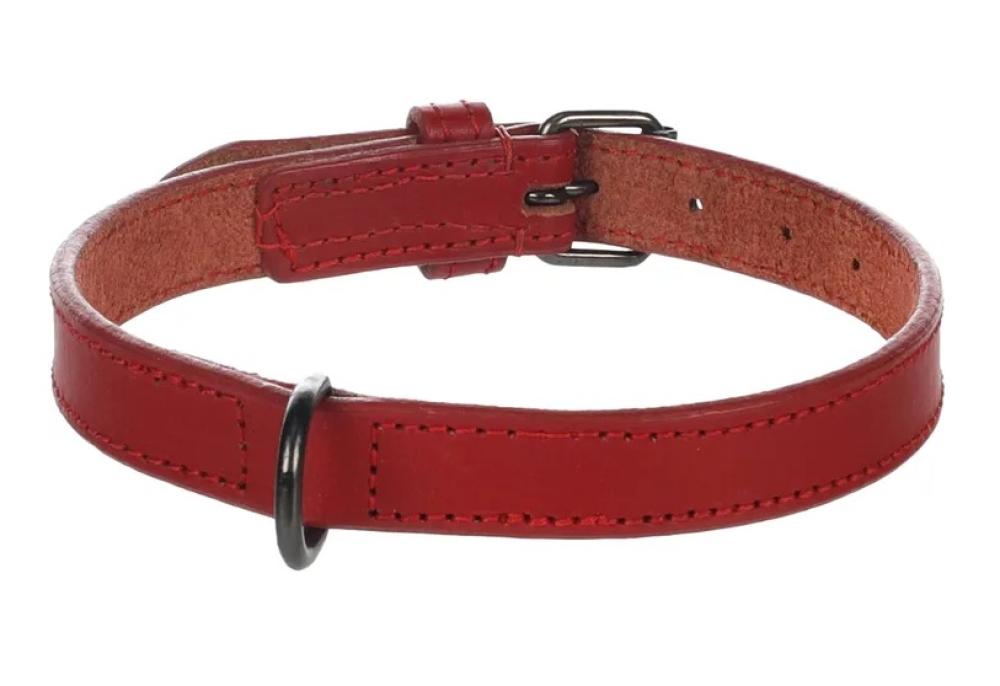 Denver rood - Denver rood