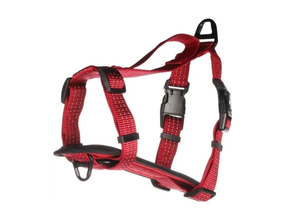 Zorba H-harnas rood - Zorba H-harnas rood