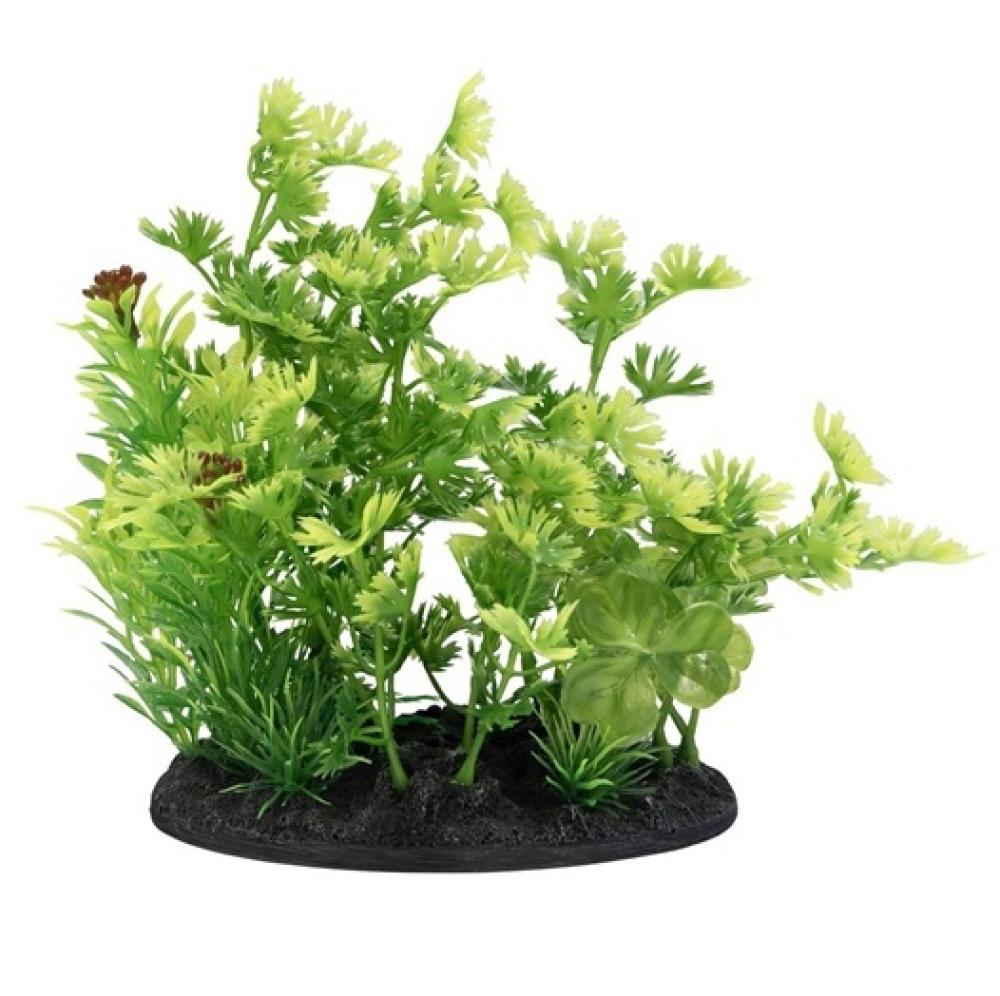 SuperFish - SuperFish