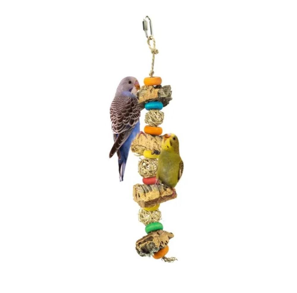 Back Zoo Nature - Back Zoo Nature