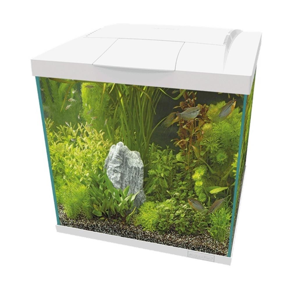 Aquarium SuperFish - Aquarium SuperFish