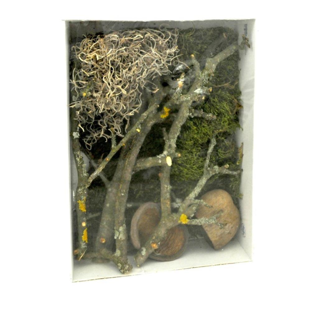 Deco Lucky Reptile - Deco Lucky Reptile