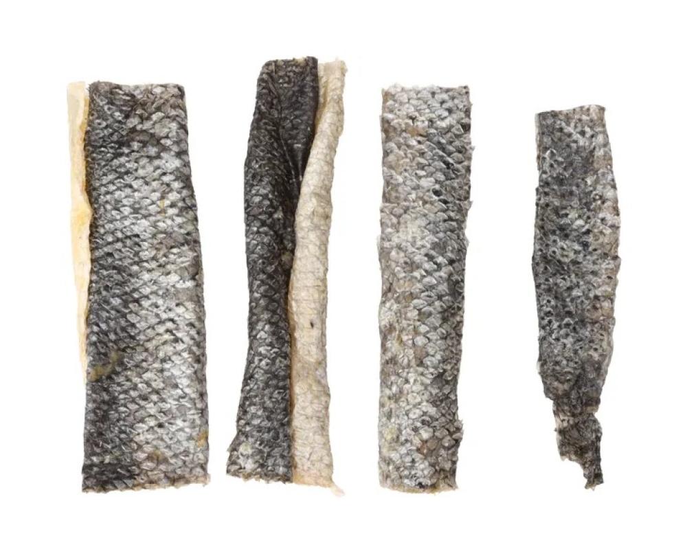 Nature snack - Nature snack