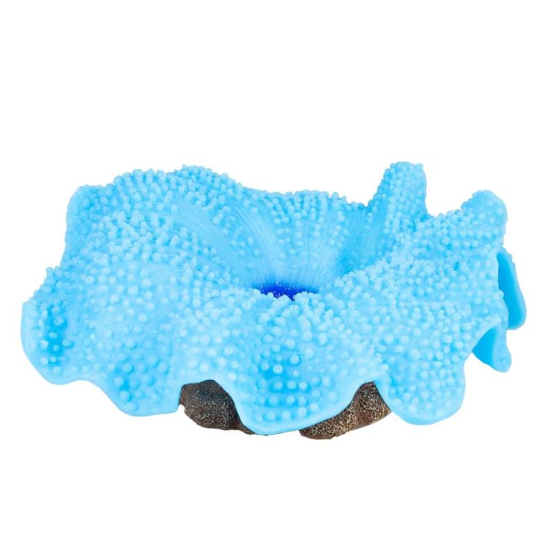 Deco Aqua Della - Deco Aqua Della