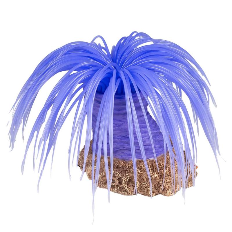 Deco Aqua Della - Deco Aqua Della