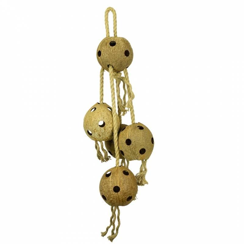 Back Zoo Nature - Back Zoo Nature