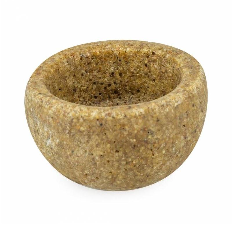 Back Zoo Nature - Back Zoo Nature