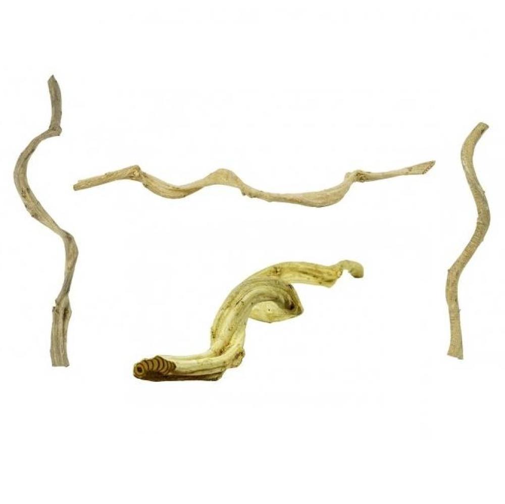 Back Zoo Nature - Back Zoo Nature