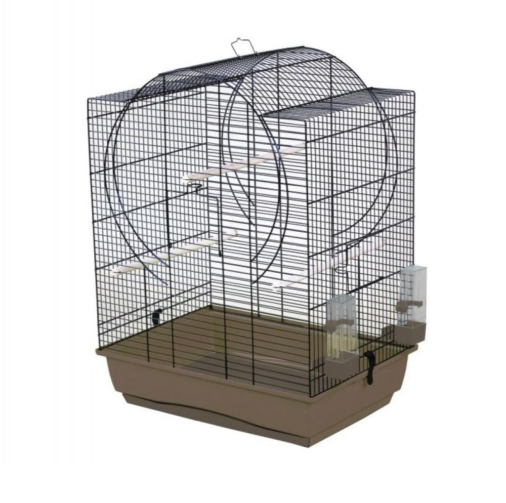 Sierkooi Kinlys - Sierkooi Kinlys