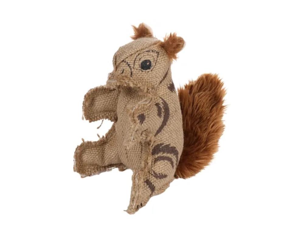 nada eekhoorn - nada eekhoorn